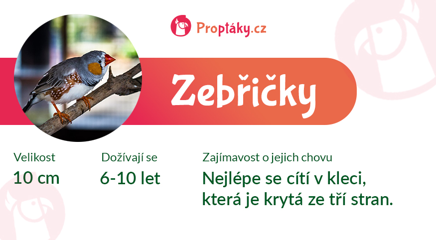 Zebricky_medailonek